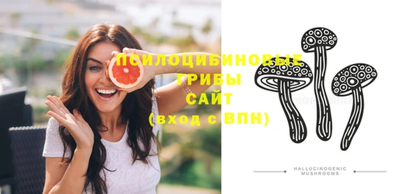 2c-b Инта