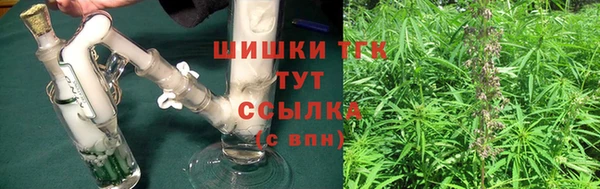 2c-b Инта