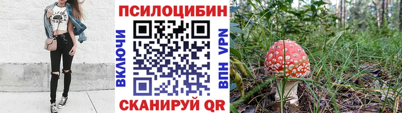 Купить закладки  Валдай  Галлюциногенные грибы Psilocybine cubensis 